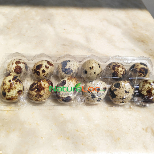 Quail Eggs (Kada Mutta Batair Ka Anda)